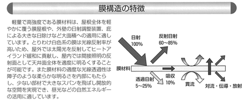 膜構造の特徴のイメージ